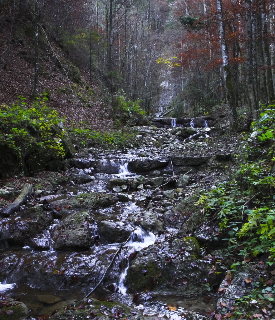 Auf dem Weg zum Wasserfall