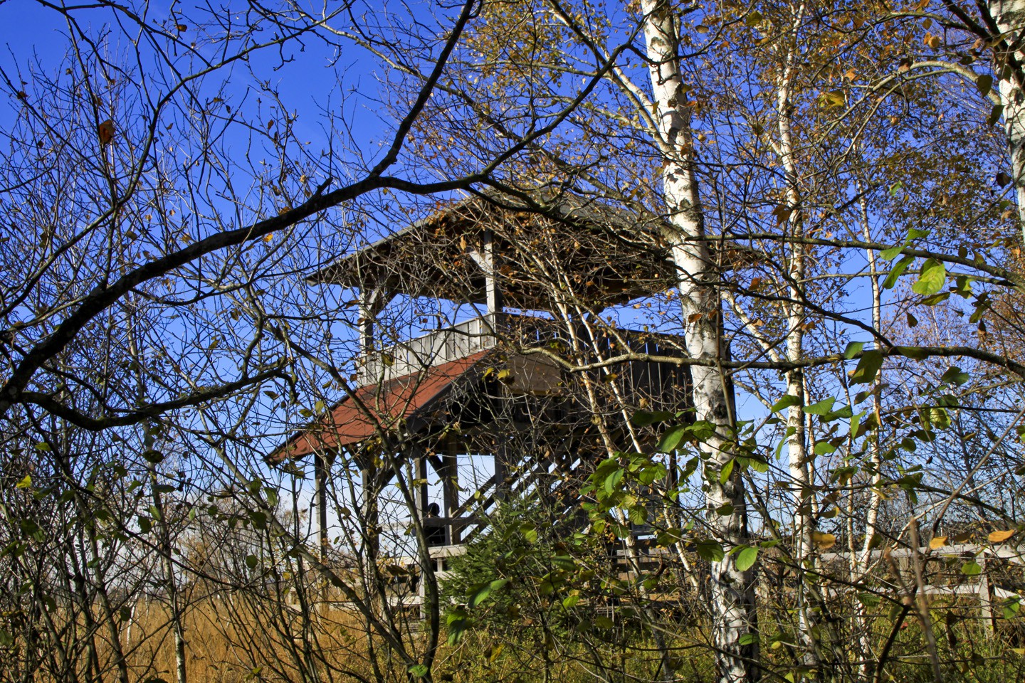 Der Aussichtsturm mitten im Moor